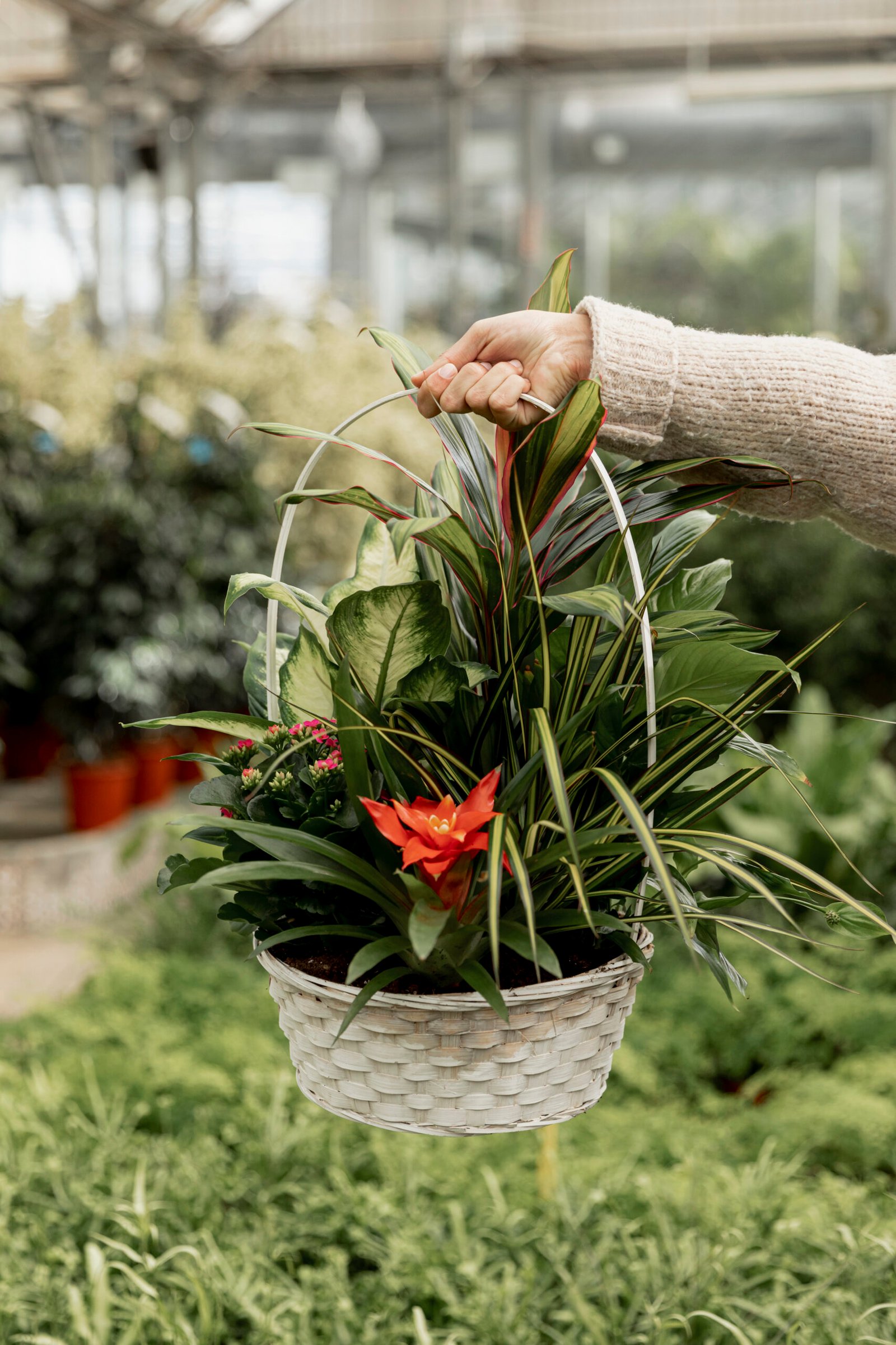 close up florist holding flower basket